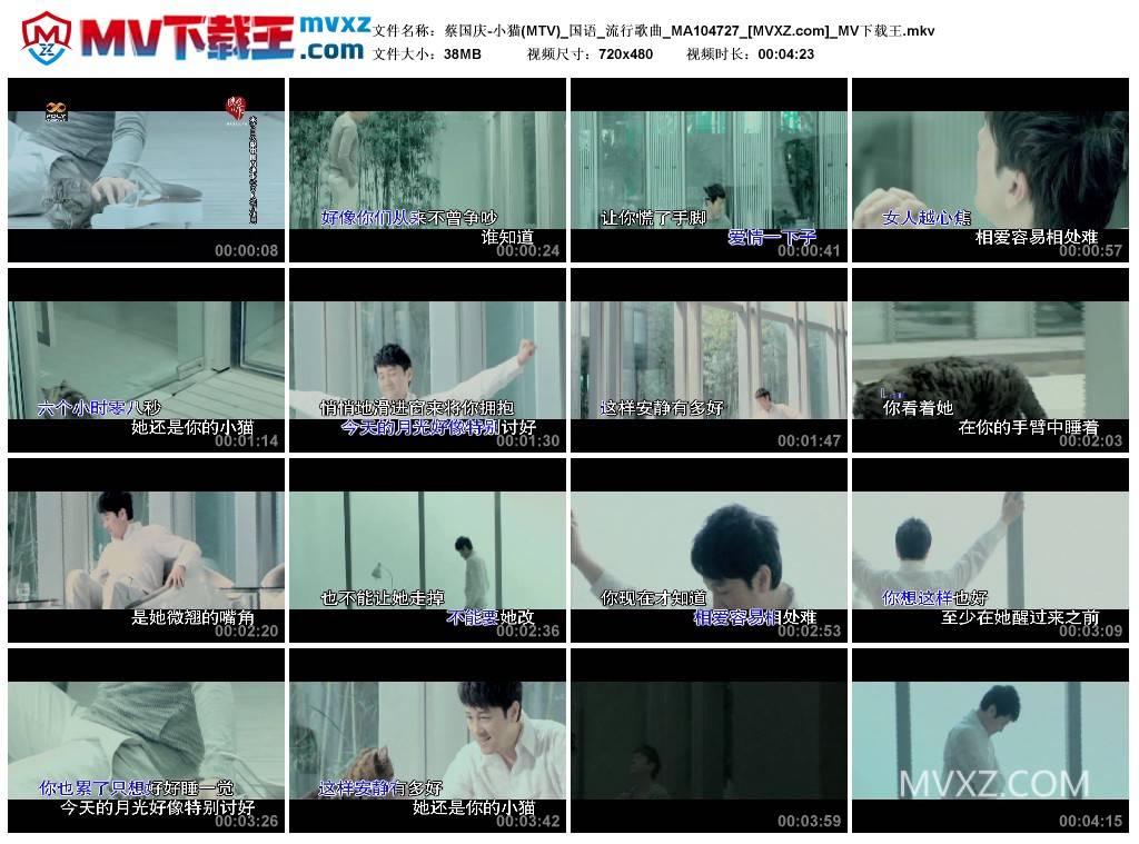 蔡国庆-小猫(MTV)_国语_流行歌曲_MA104727